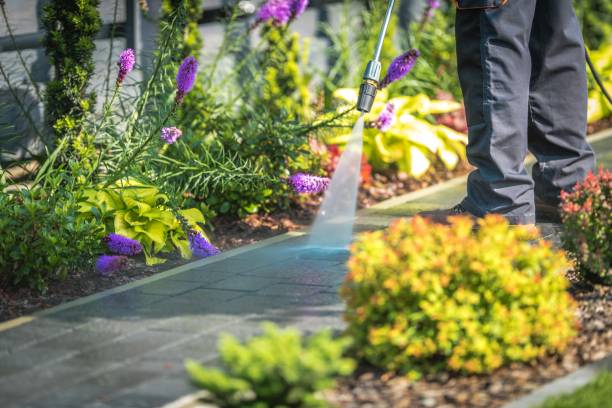 Best Fence Cleaning  in Larkspur, CA