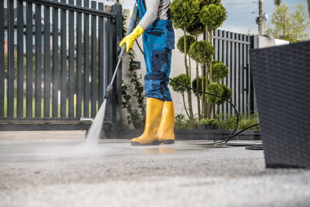 Best Gutter Cleaning  in Larkspur, CA